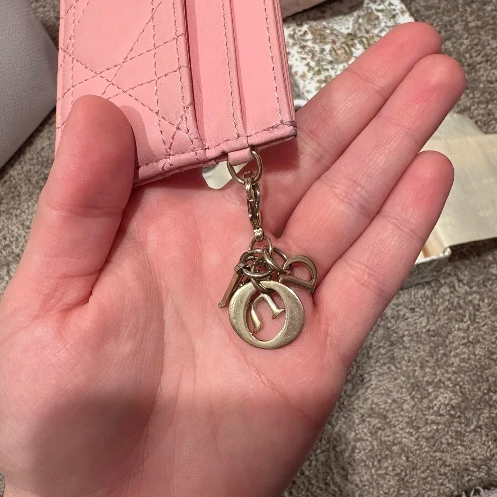 Dior design chic