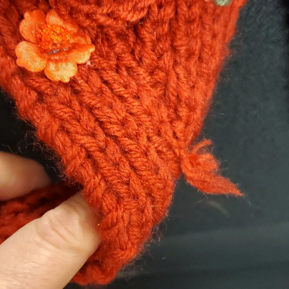 Source Unknown set earwarmers