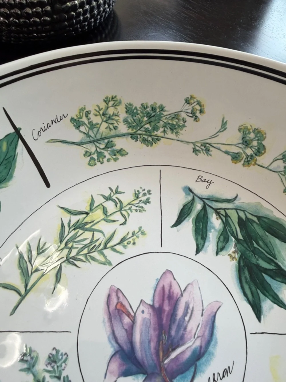 William Sonoma Herb-Illustration Ceramic Serving Plate 12.5”