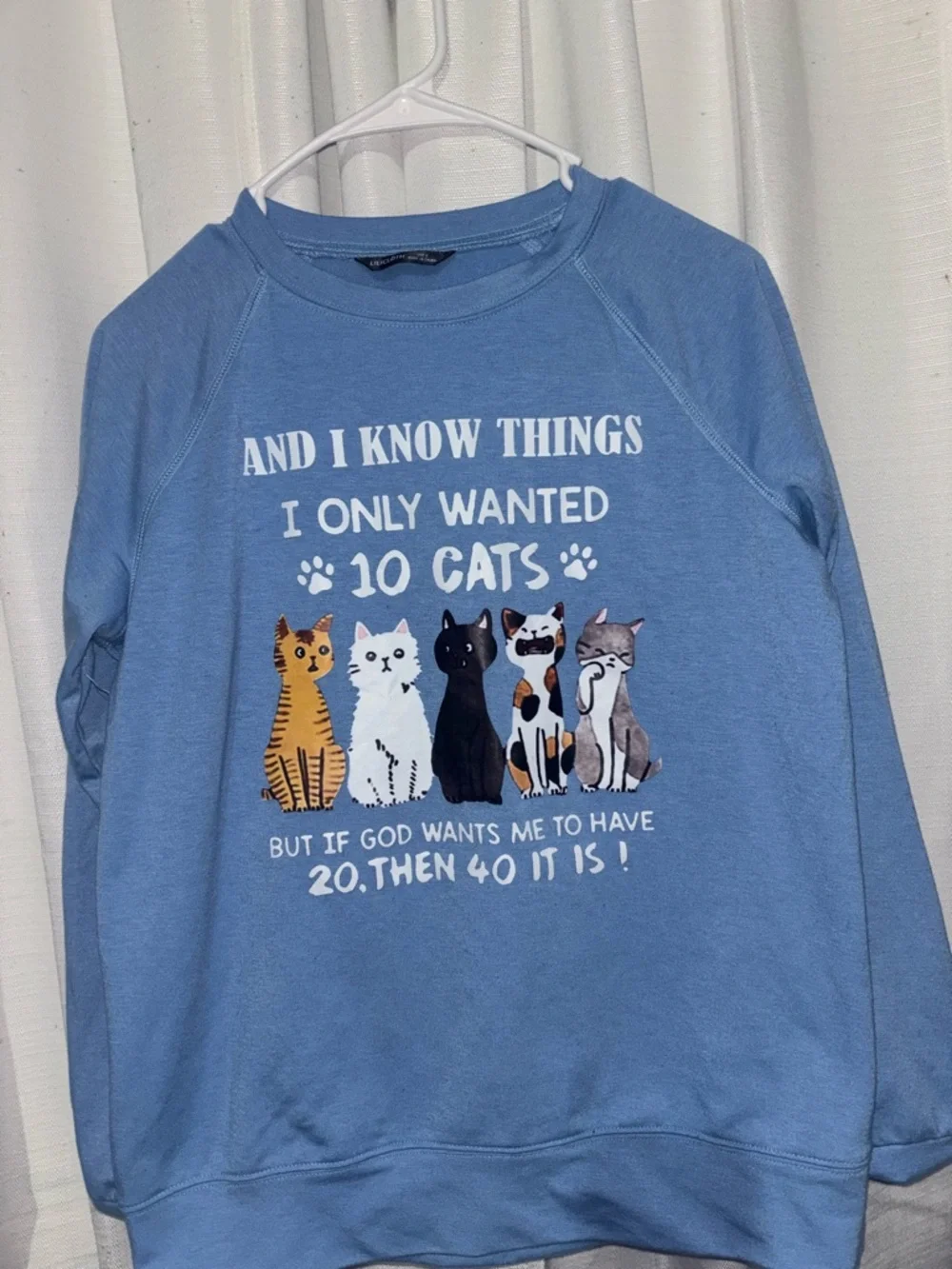 Blue Cat Graphic Sweatshirt - Casual Cat Lover Pullover