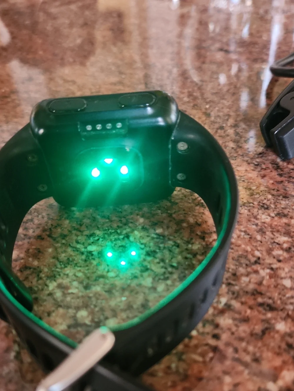 garmin compact smartwatch