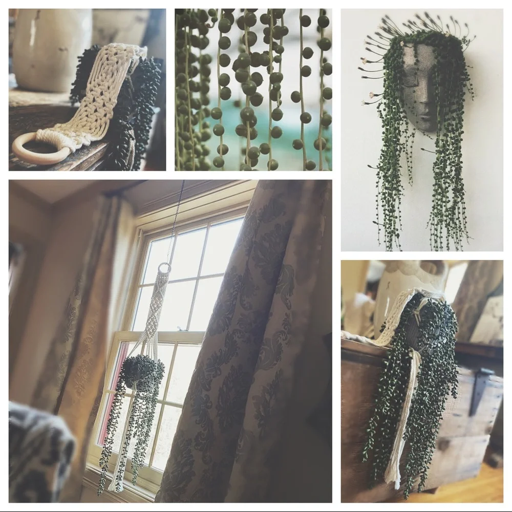 Boutique this beautiful