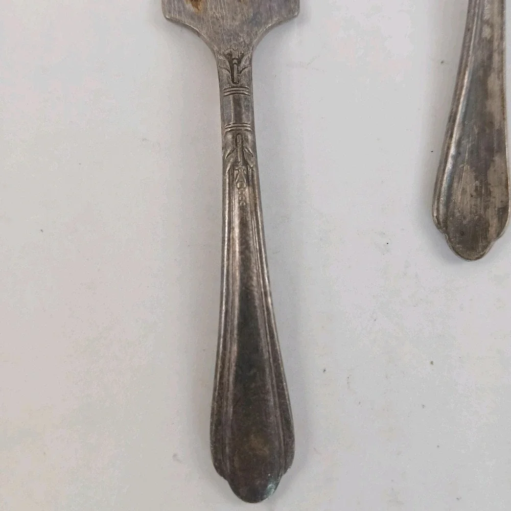 Oneida spoon cleaning