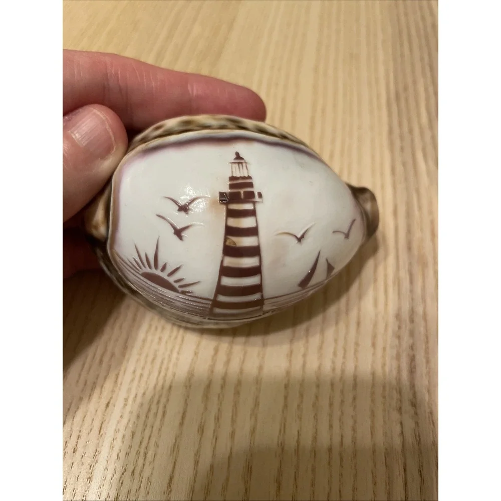 Etched Lighthouse Souvenir‎ Cowrie Seashell Ocean Sunset Beach Trees Birds