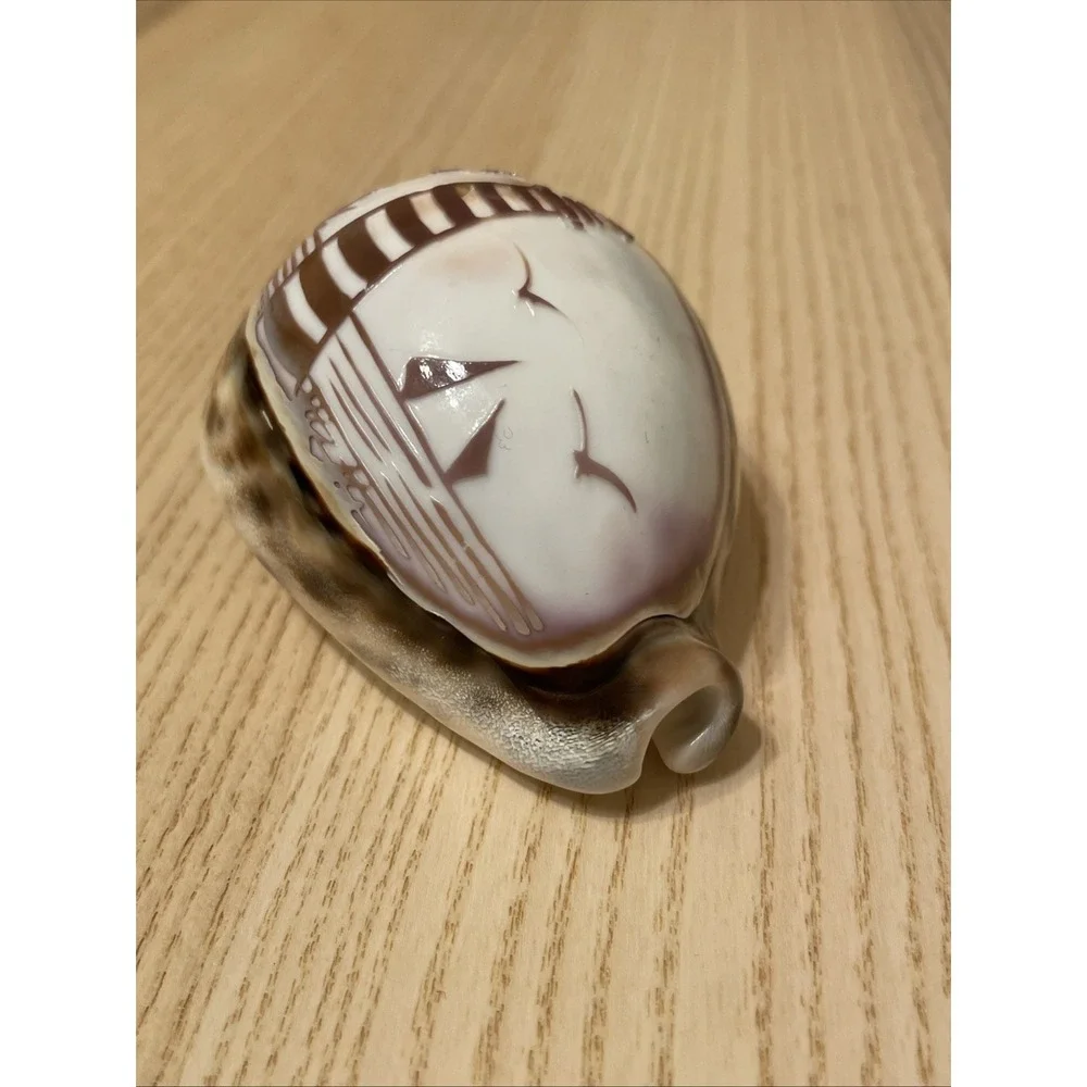 Etched Lighthouse Souvenir‎ Cowrie Seashell Ocean Sunset Beach Trees Birds