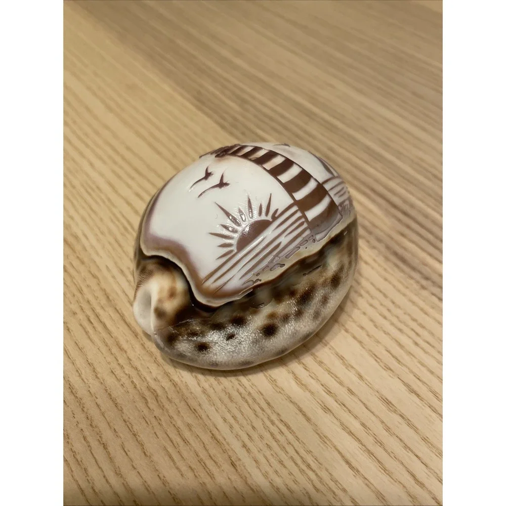 Etched Lighthouse Souvenir‎ Cowrie Seashell Ocean Sunset Beach Trees Birds