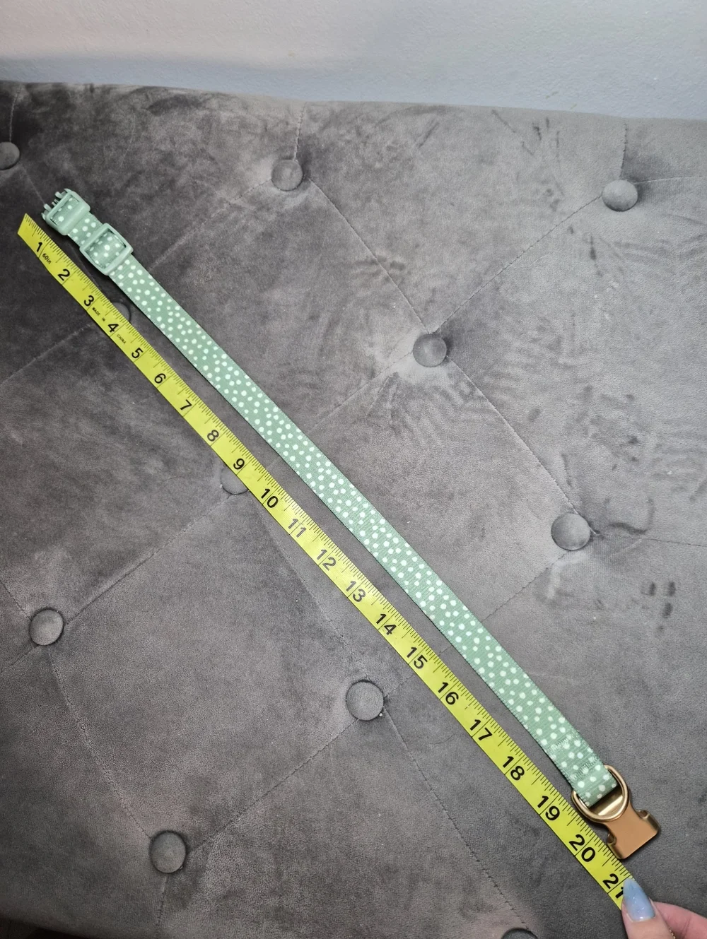 Adjustable Mint Green Polka Dot Dog Collar with Gold Hardware