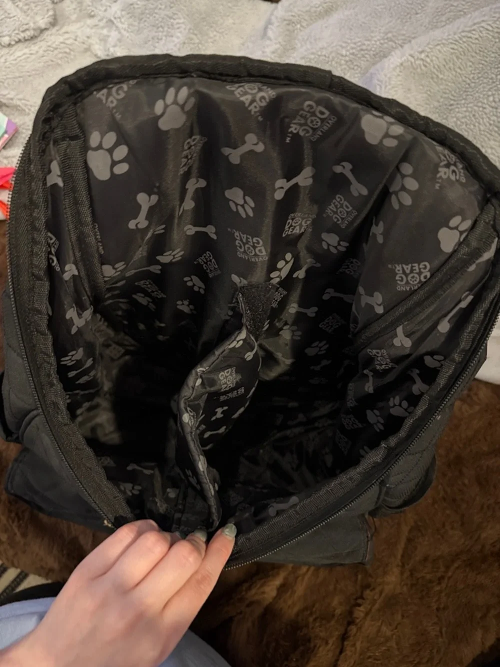 overland dog gear quilted stylish