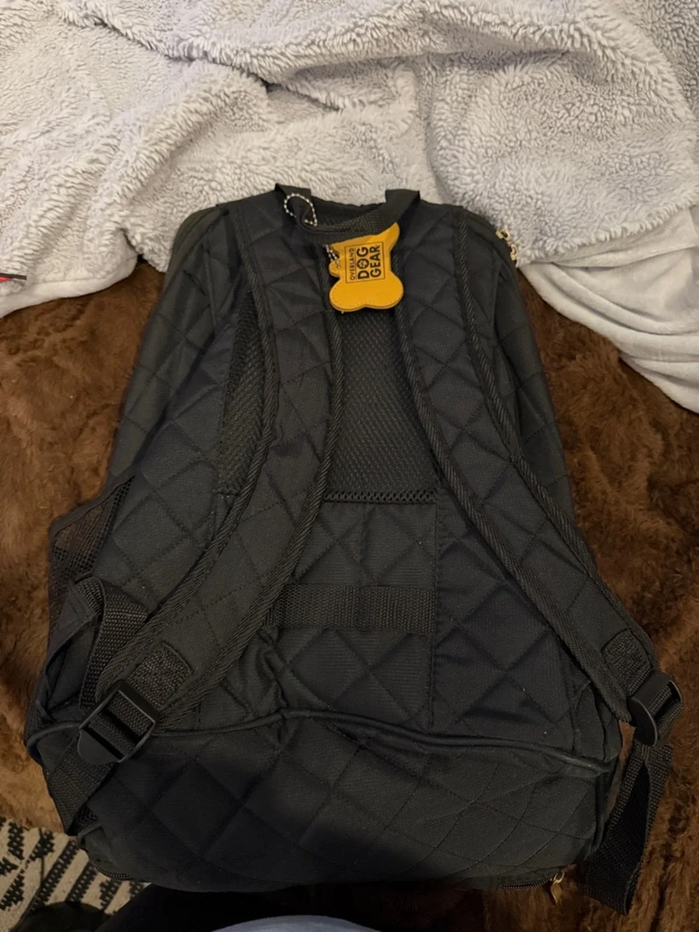 overland dog gear quilted stylish