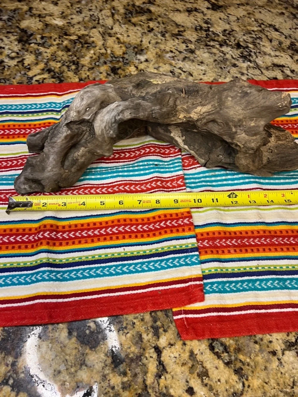 Natural Driftwood found on the James River Reptile Hide - Brown