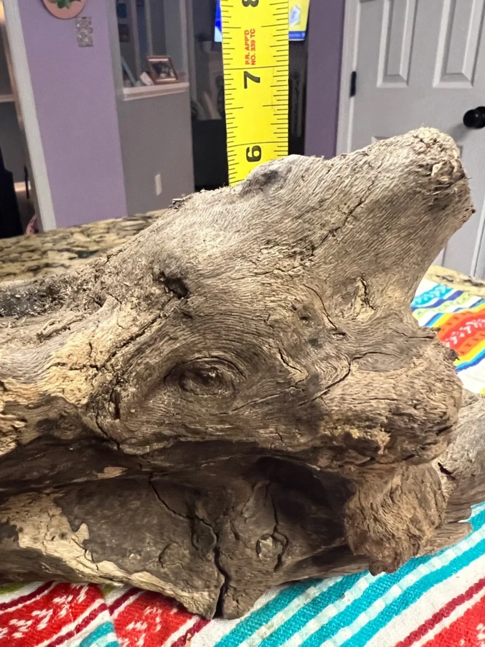 Natural Driftwood found on the James River Reptile Hide - Brown