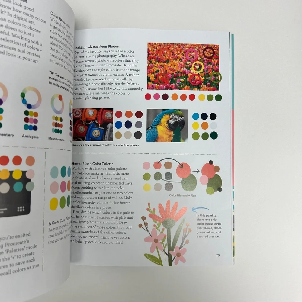 Drawing Digital Guide for iPad by Lisa Bardot Book - iPad Procreate Tablet