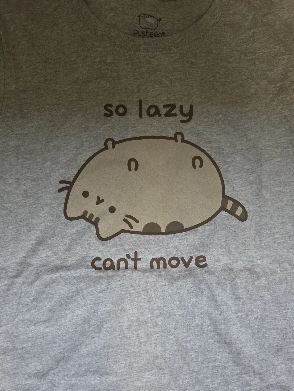Pusheen soft gray
