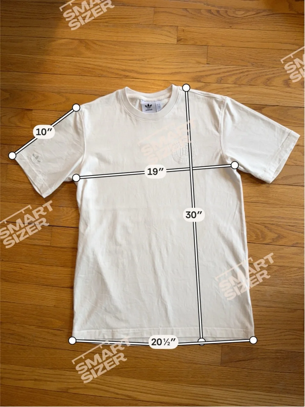 Adidas Germany 125th Anniversary DFB Tee M ~ Cream/White ~ JD7139