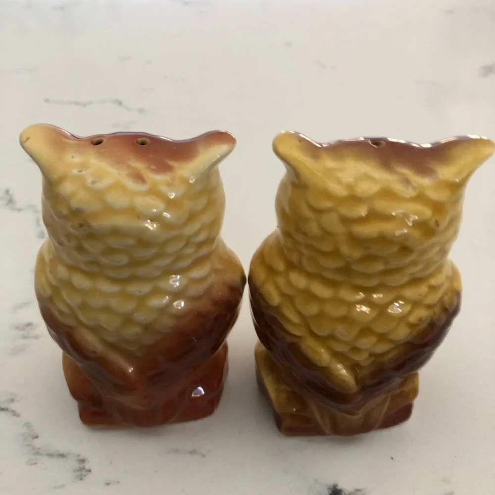 Googley Eye Owl Salt & Pepper Shakers~Tennessee VTG