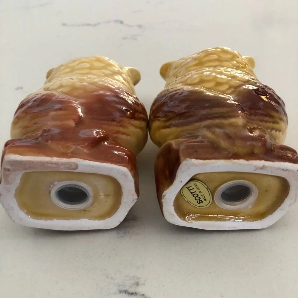 Googley Eye Owl Salt & Pepper Shakers~Tennessee VTG