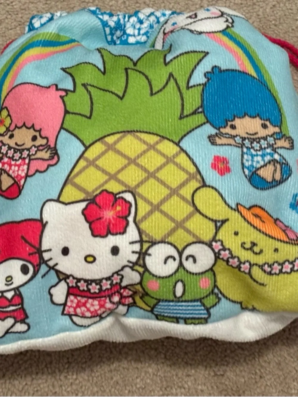 Sanrio close up