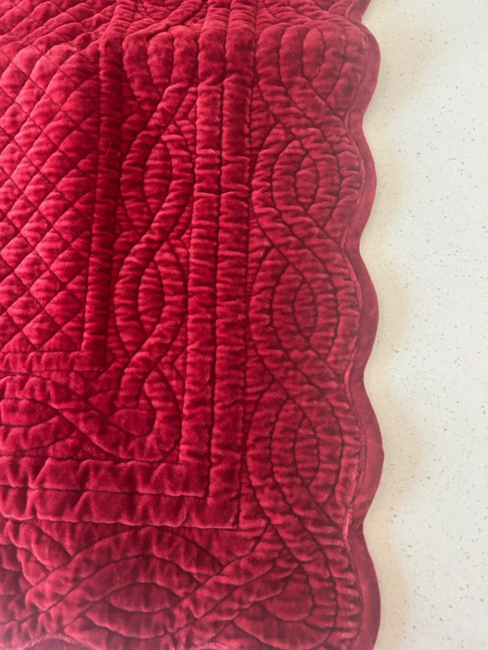 Pottery Barn Velvet Heirloom Euro Pillow Sham 1 Ruby Red RARE