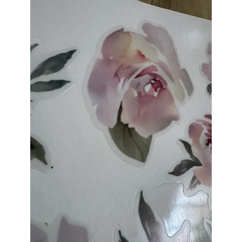 N/A beautiful translucent