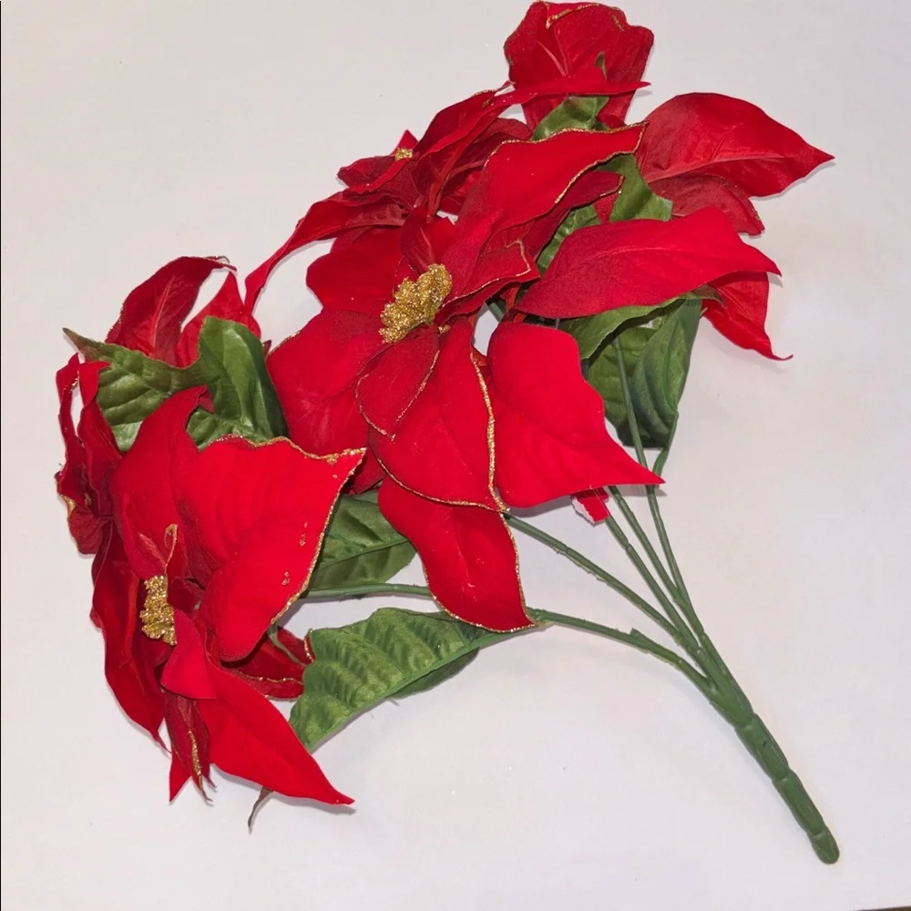 N/A blooms per