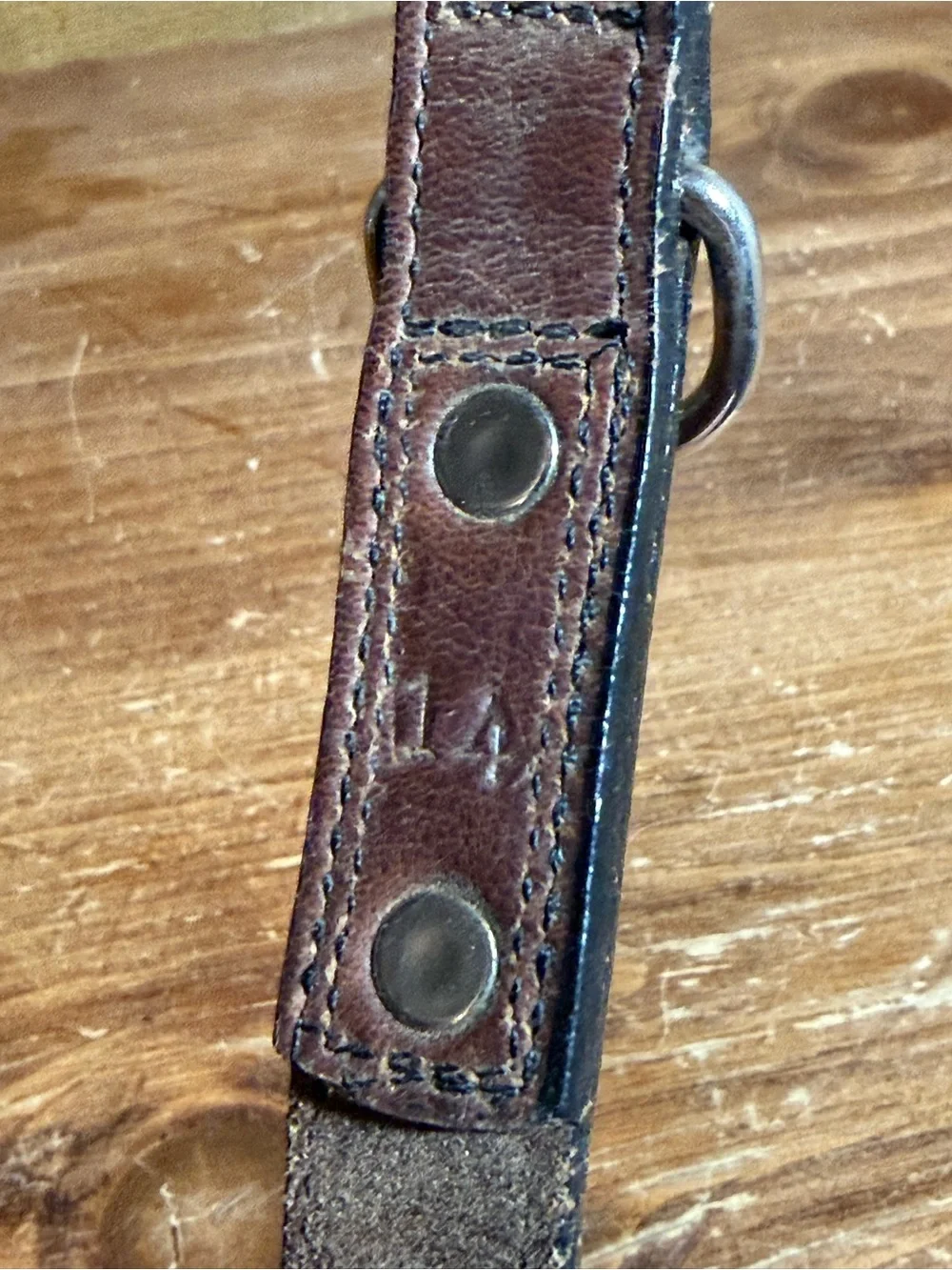 Woof Wear collar studded