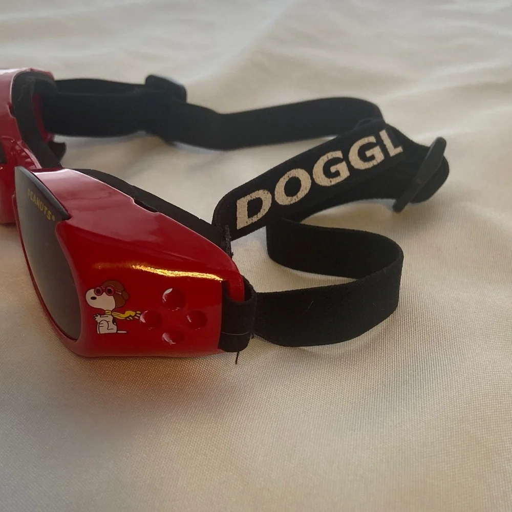 Doggles protect your