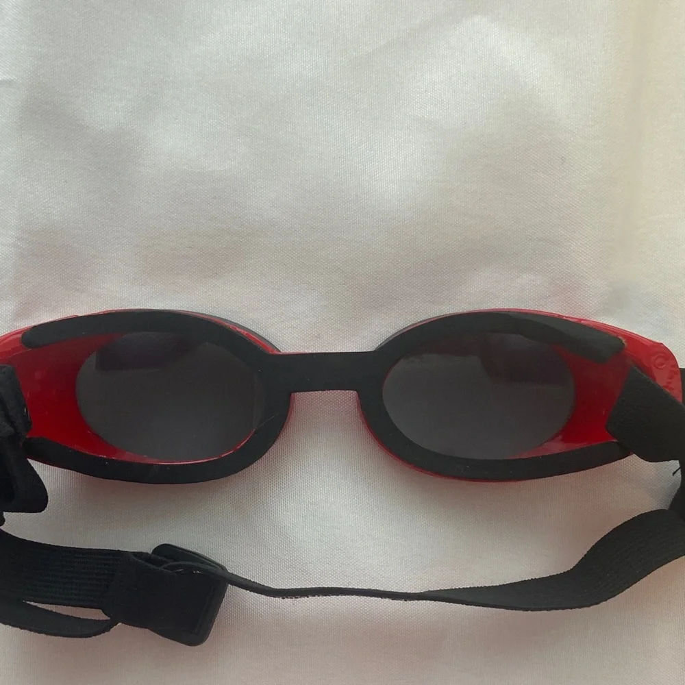Doggles protect your