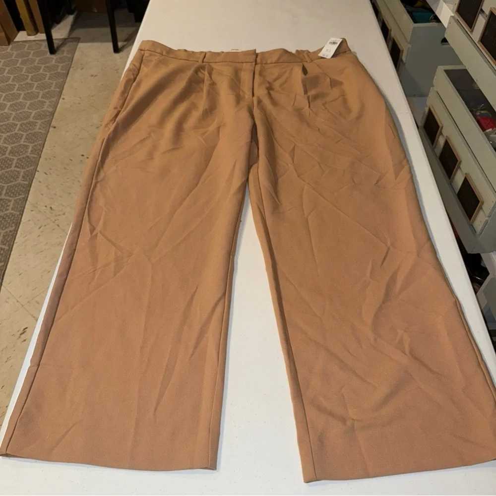 NEW Abercrombie & Fitch Pants 37 /‎ 24 Long Womens Pleated Wide Straight Trouser