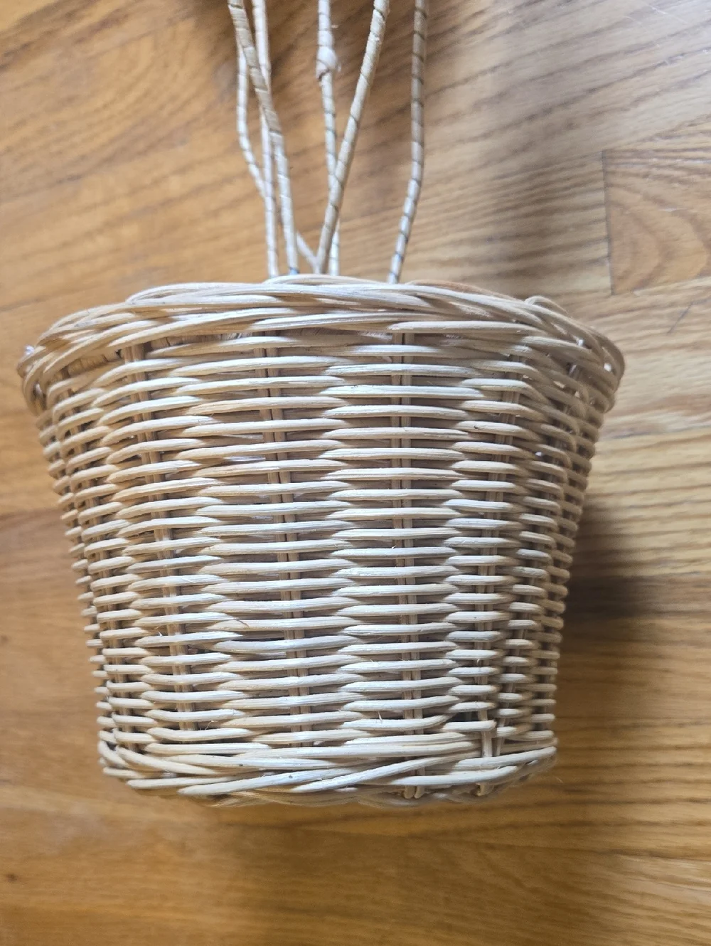 Anthropologie Terrain unique HTF wicker Bird Of Paradise plant