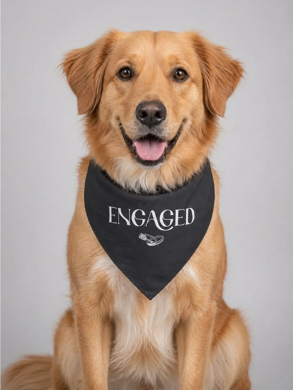 Top Paw reversible pet