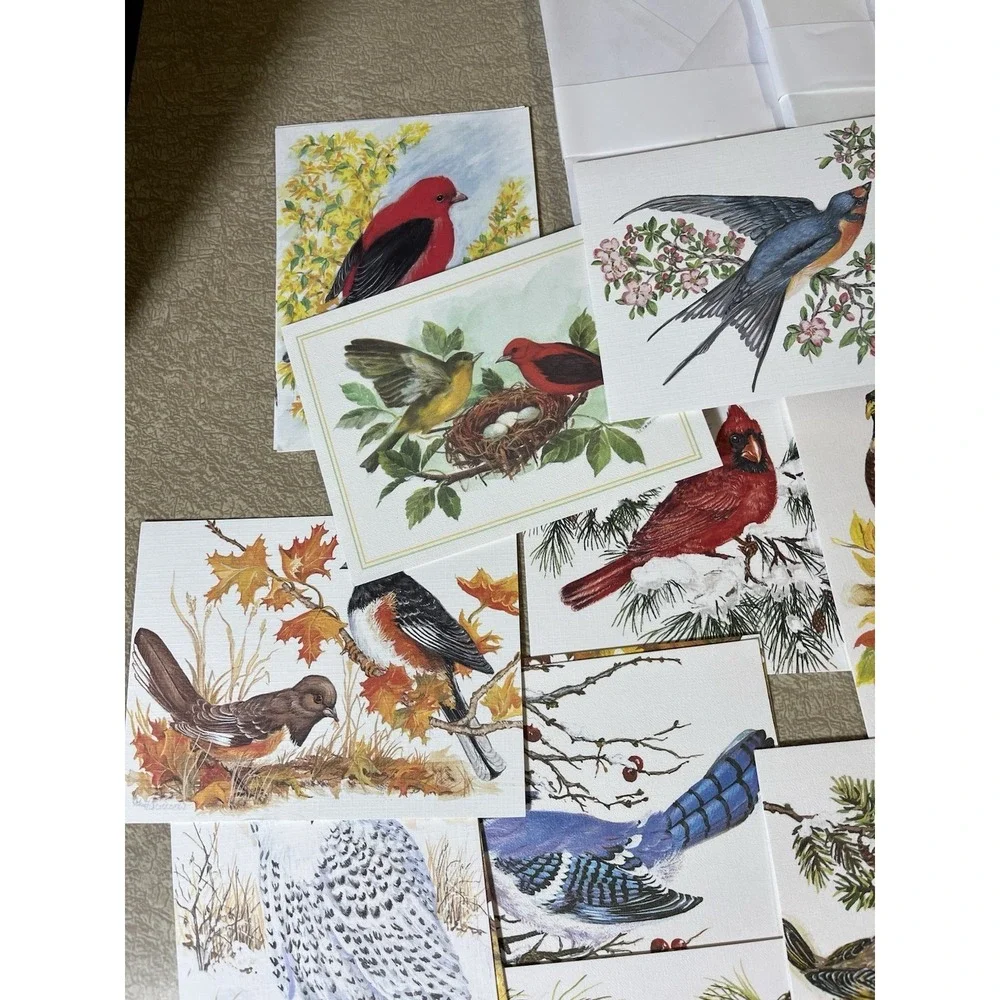 Birds Bird Notecard Card Lot w/ Envelopes Frameable Art Duck Cardinal Blue Jay