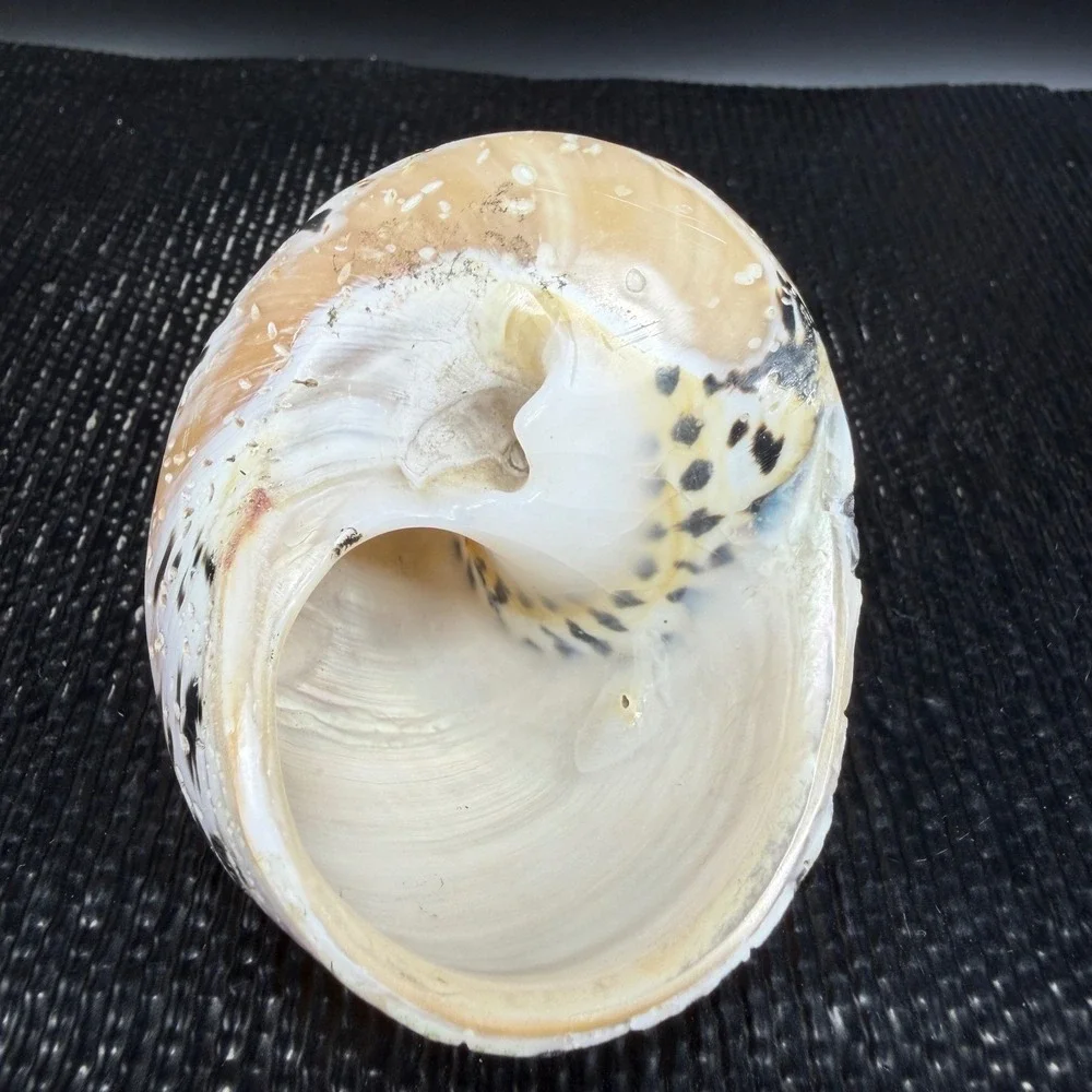 N/A coastal decor making