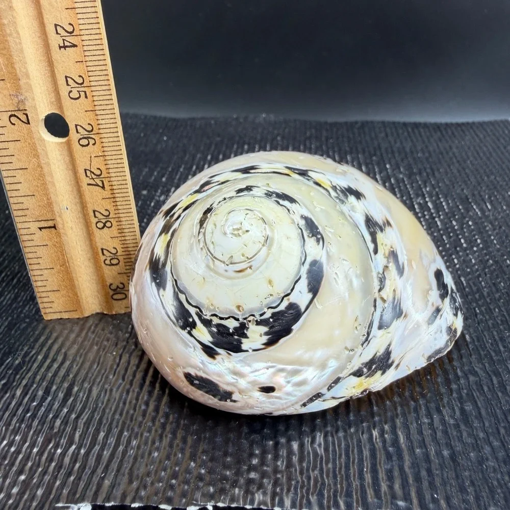 N/A beneath spiral outer