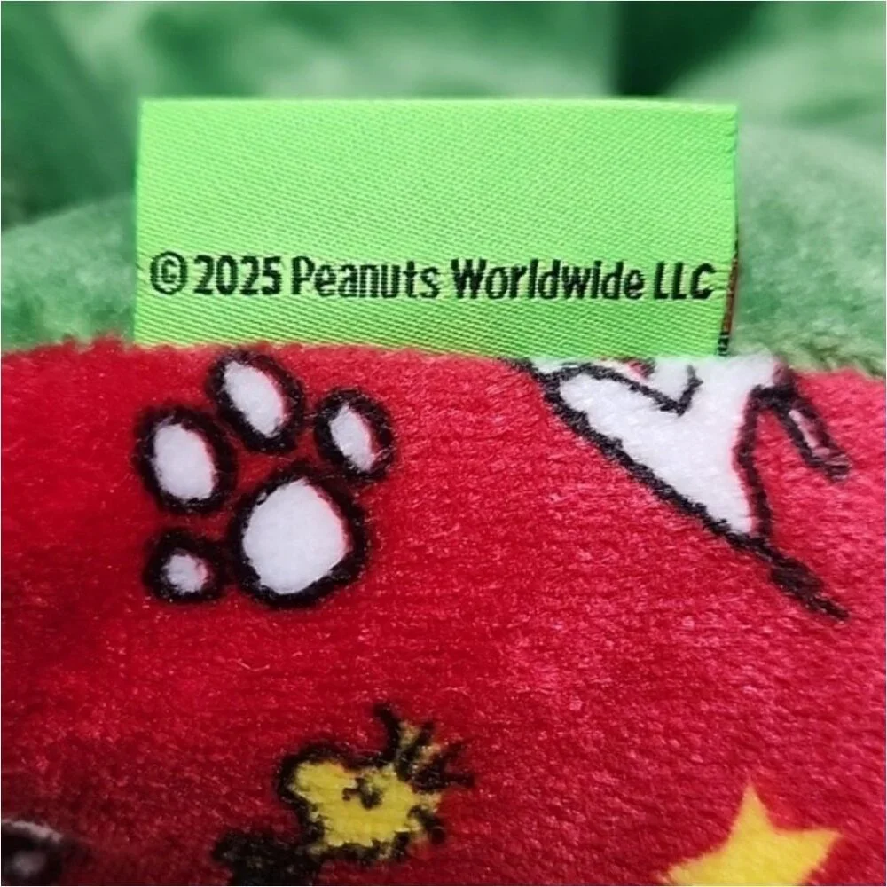 Peanuts charlie brown