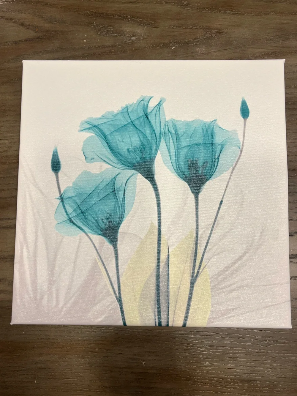 Hand-Painted Tulip Canvas Wall Art - Set of 4