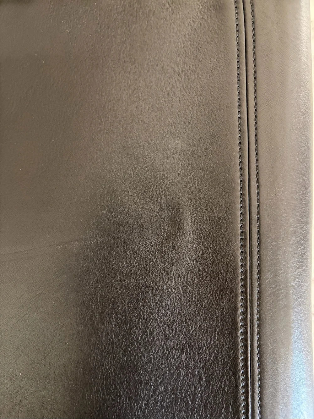Coach sleek leather
