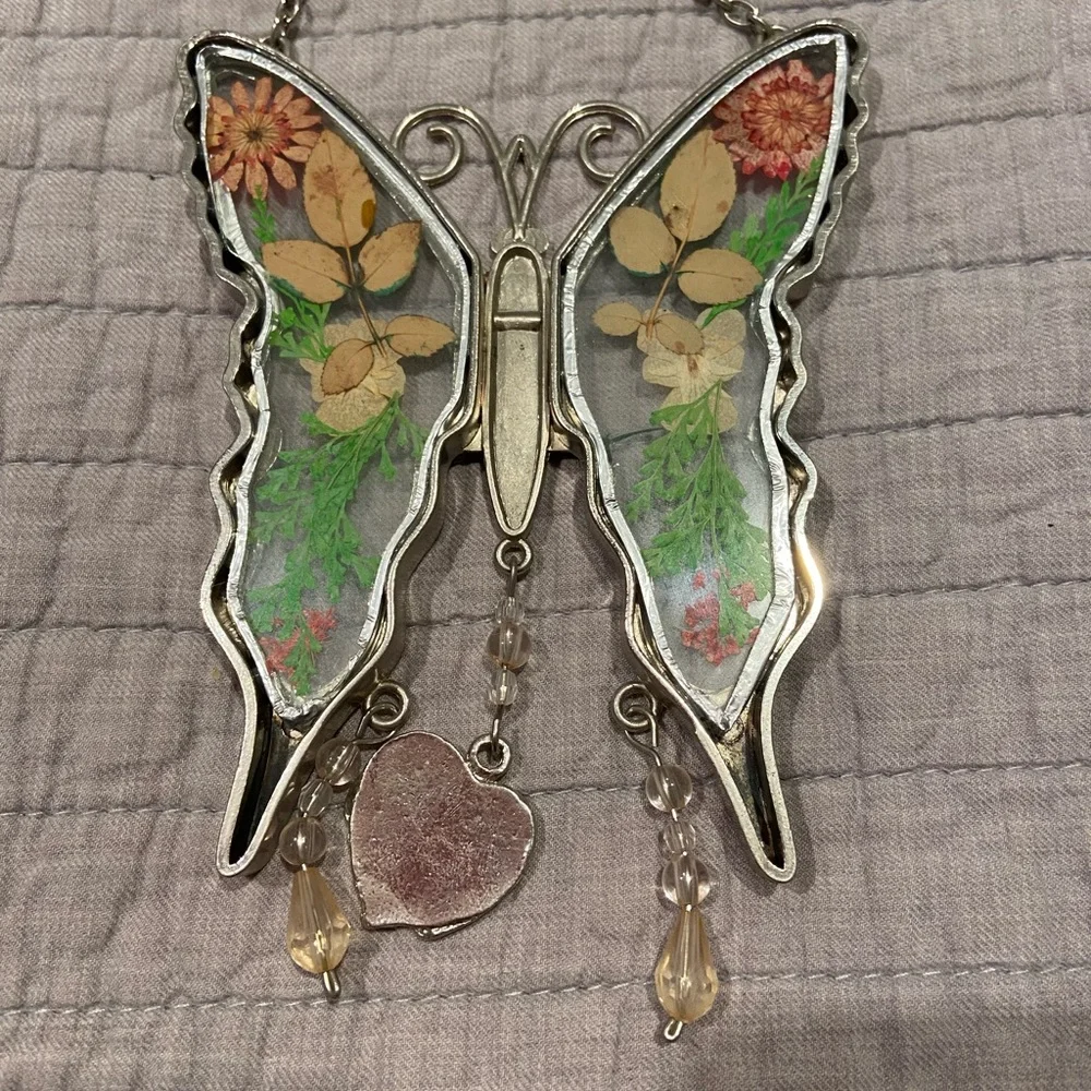 Source Unknown beautiful butterfly