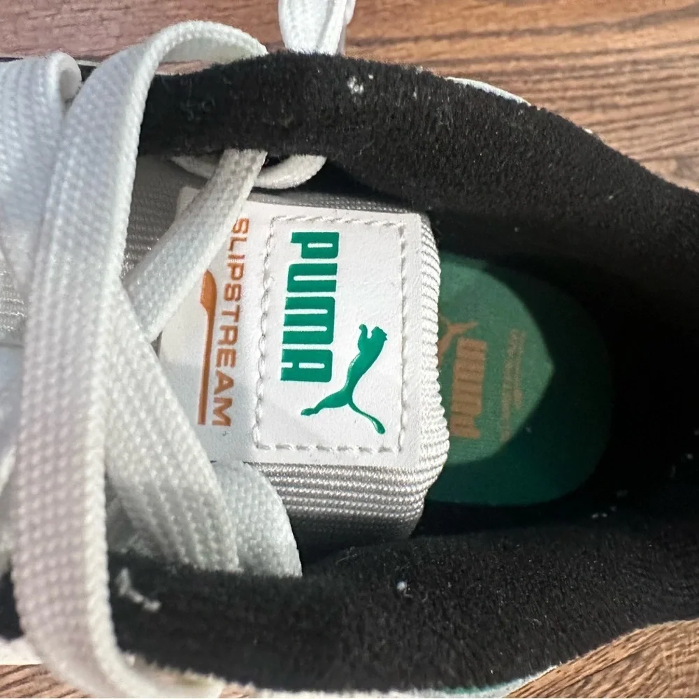 Puma mens size
