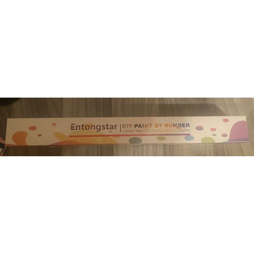 Entongstar diy paint