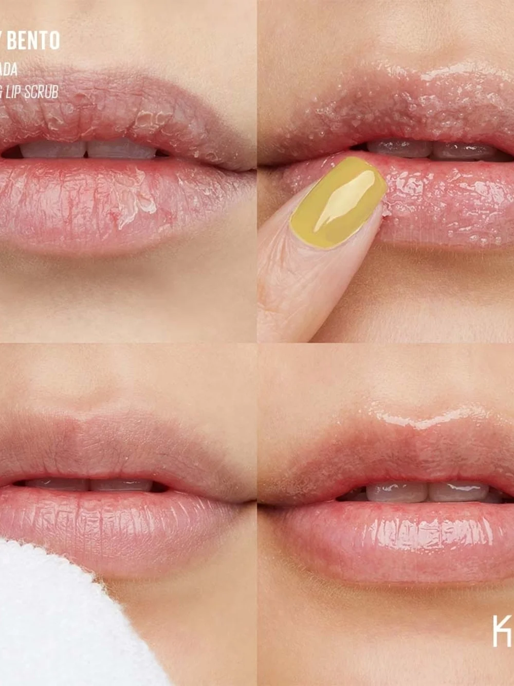 Kaja balmy bento