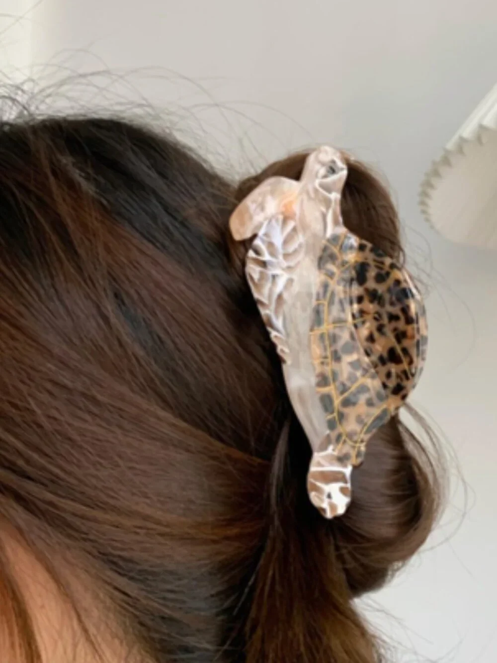 Anthropologie sea turtle