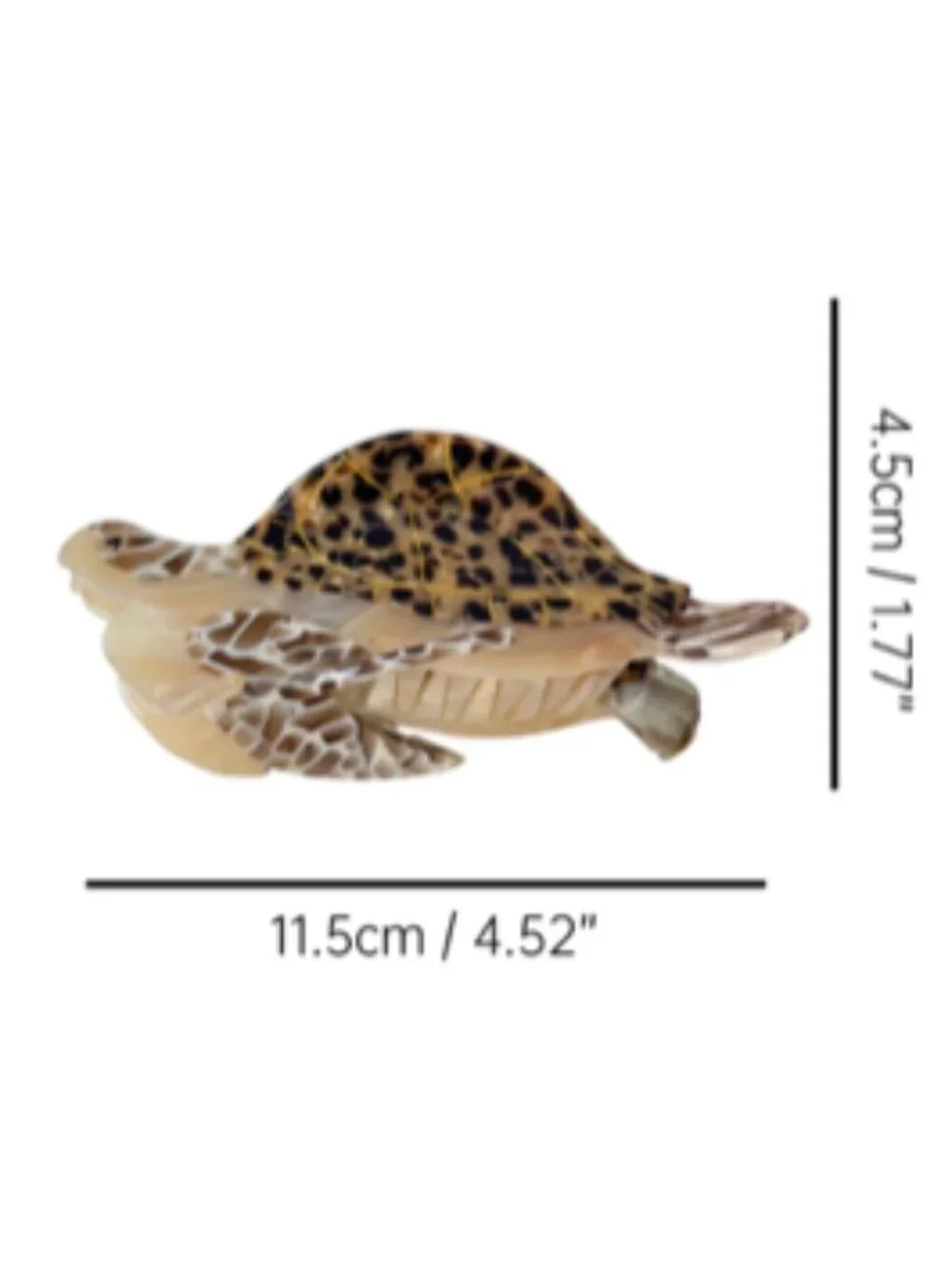 Anthropologie sea turtle