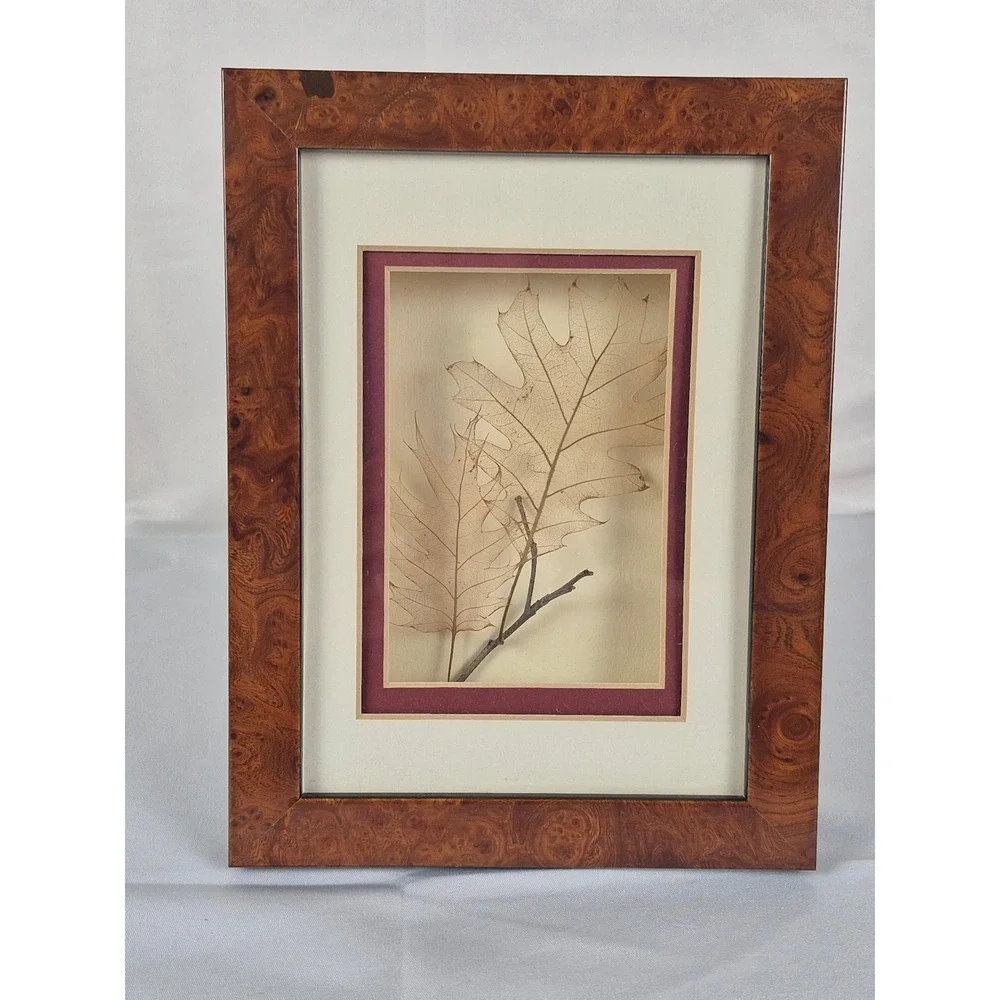 Vintage Skeleton Leaf Art Burl Wood Look Frame Booker Morey 1994 Decor Oak Tree