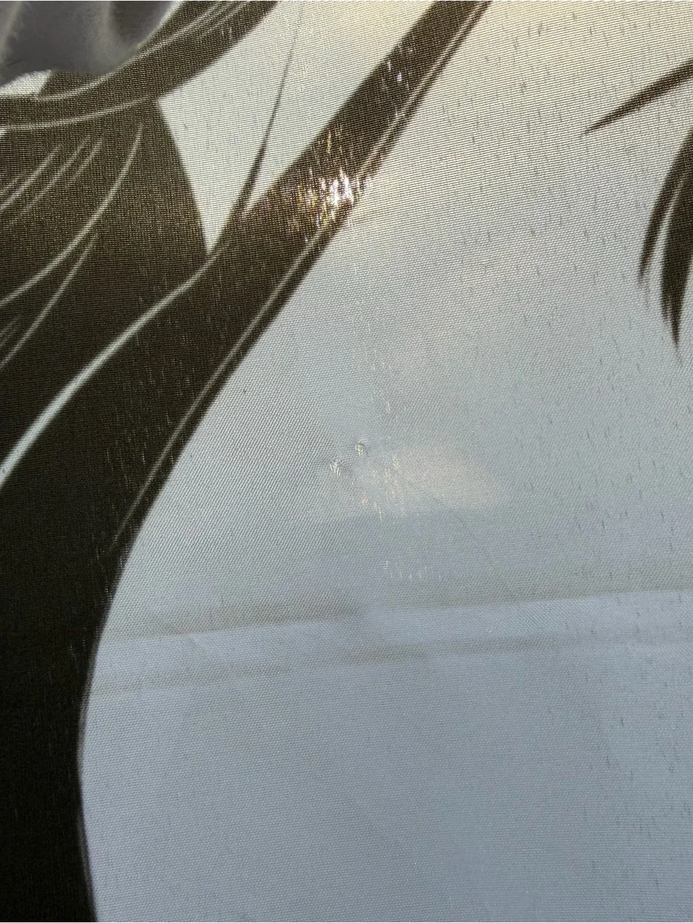 Lewd Complex background any lots