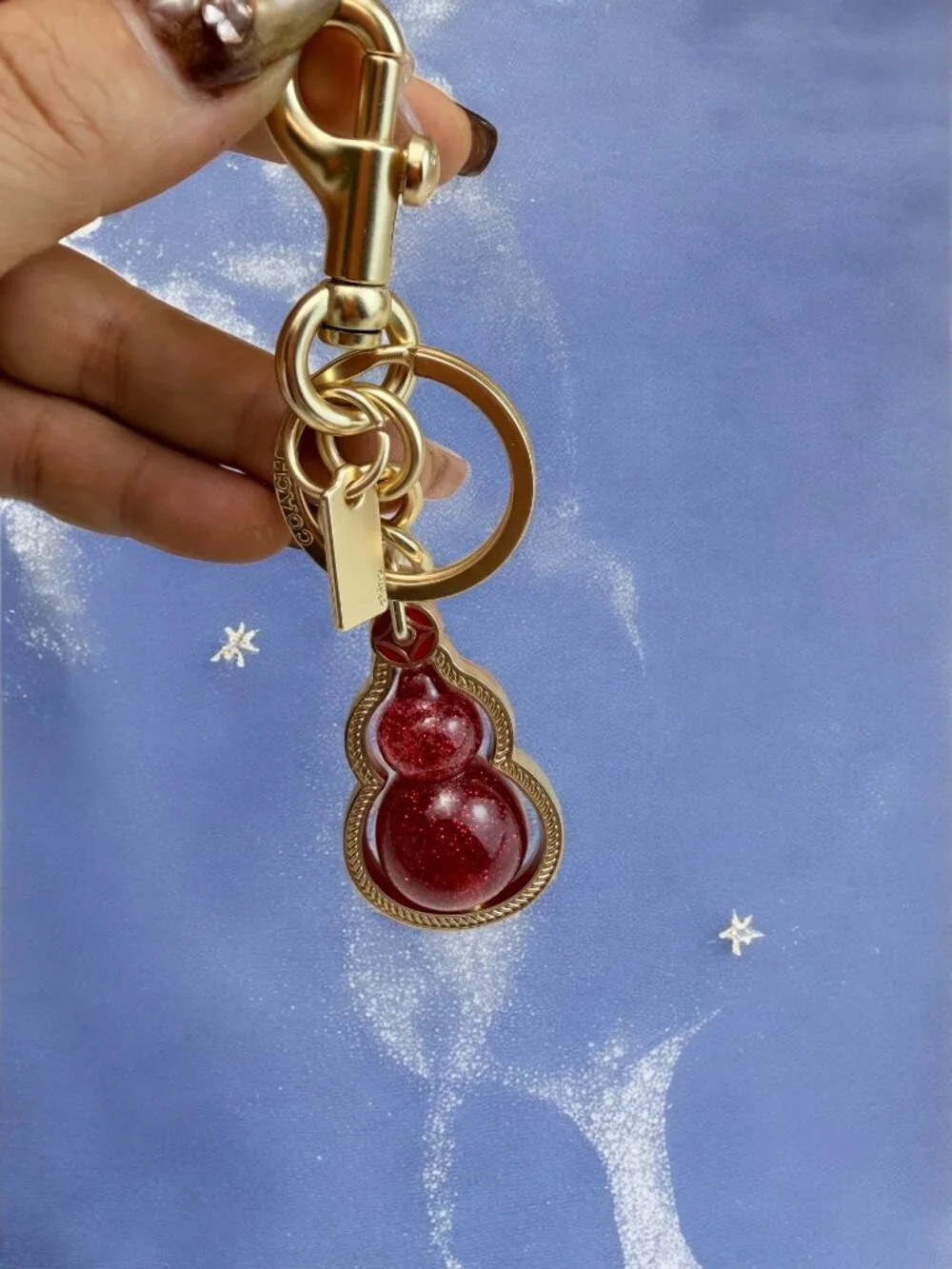 Coach keychain carry