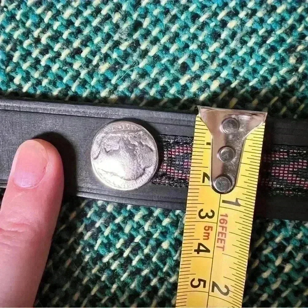 GAP buffalo coin