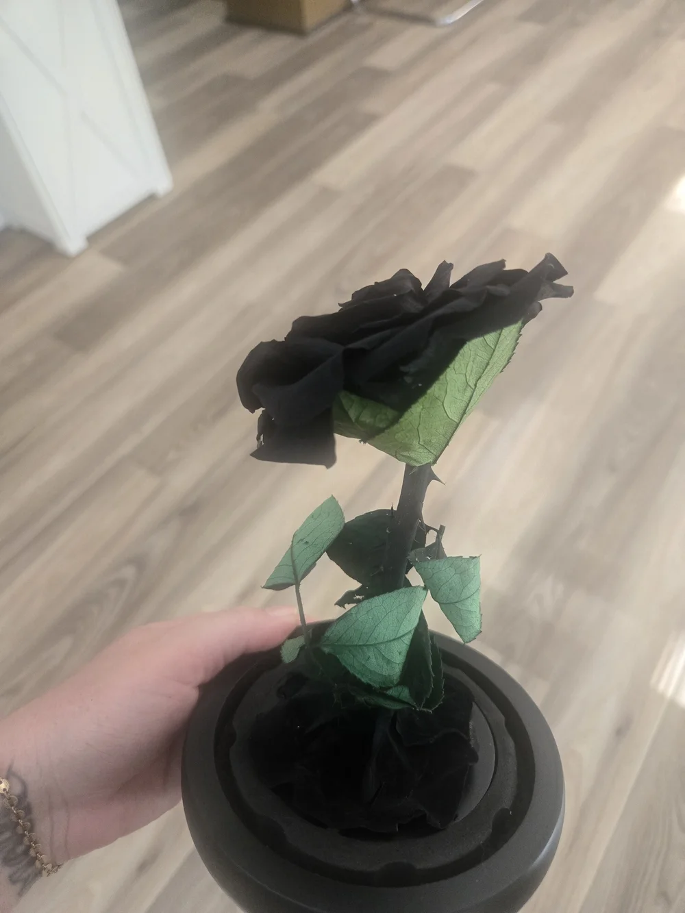 N/A elegant black