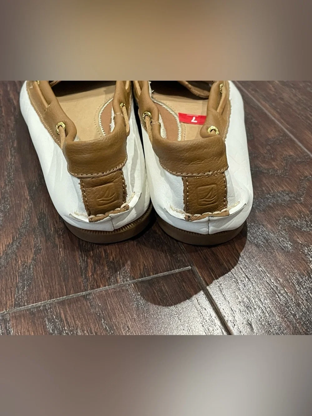 Sperry top sider