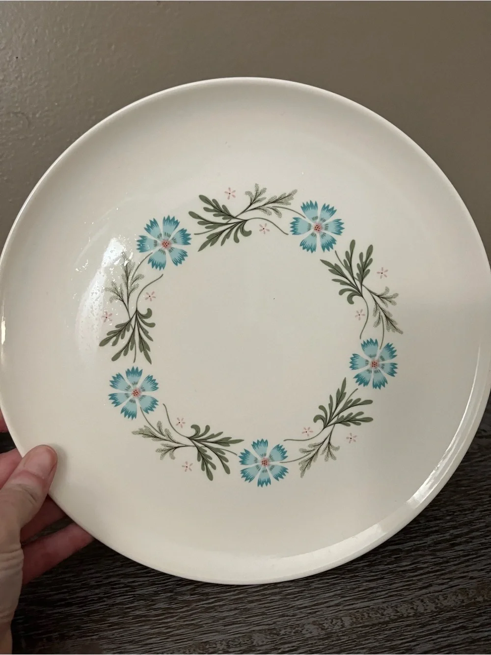 Vintage Taylor Smith & Taylor “Bridal Wreath” dinner plates set of three