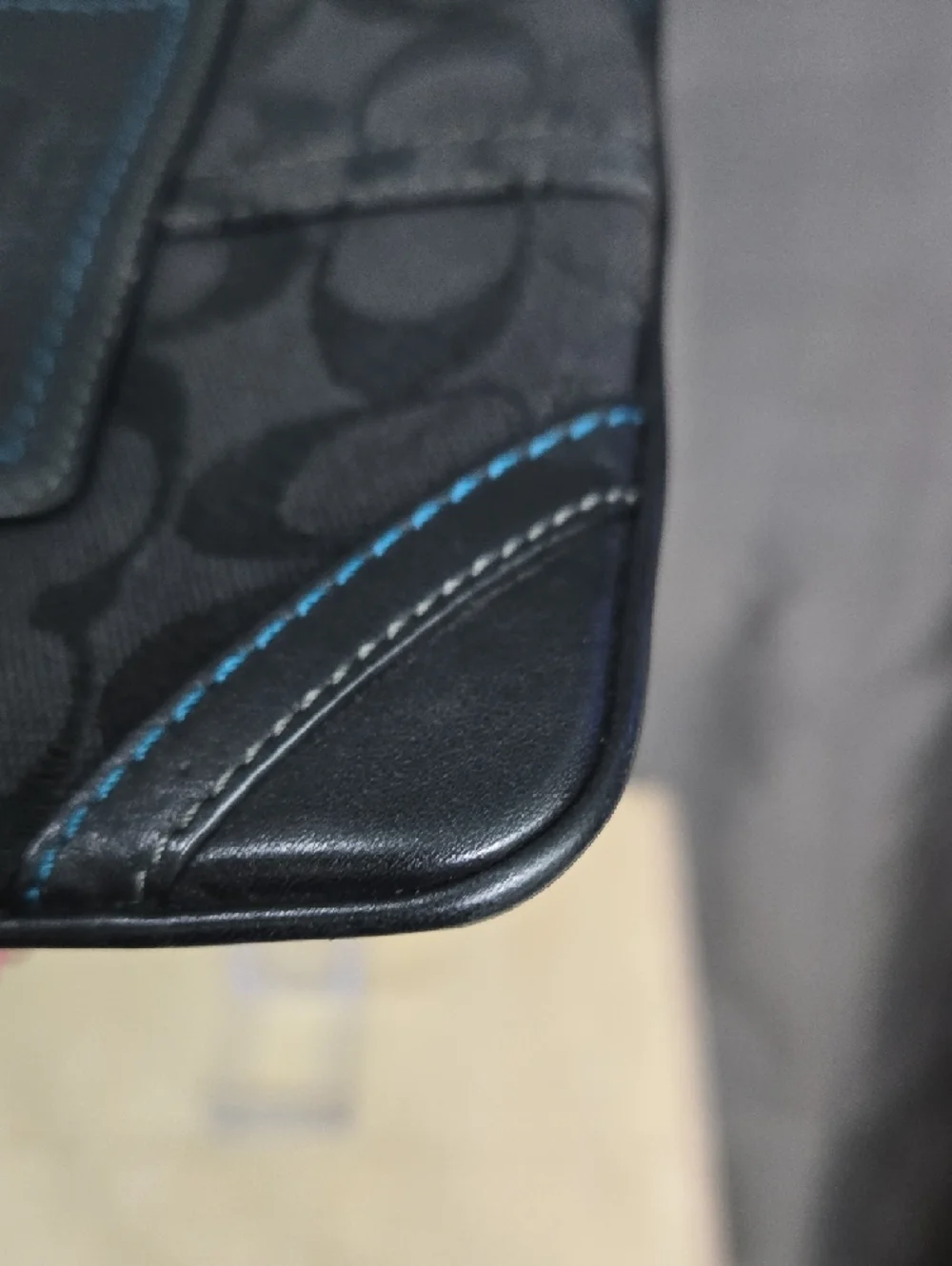 Coach signature canvas